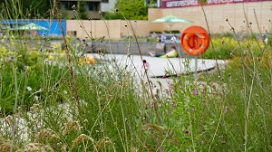Stippvisite bei der Landesgartenschau in Bad Gandersheim