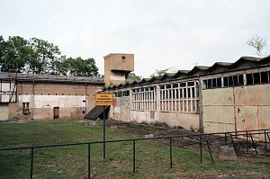 Peter Blei unterwegs im Kloster Göllingen