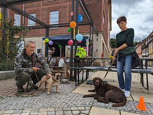 27. Weinfest und Heimatshoppen in Sondershausen