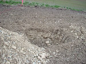 Baumpflanzung Ortsumfahrung