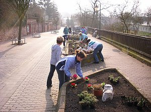 Archivbilder Frühjahrsputz
