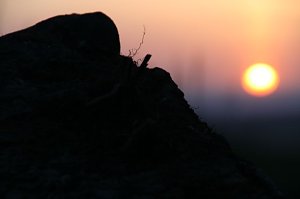 Sonnenuntergang - fotografiert vom Hainer Berg