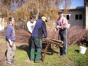 Frühjahrsputz Bad Frankenhausen