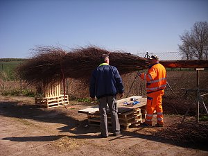 Frühjahrsputz Bad Frankenhausen