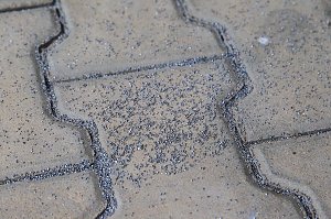Einbruch im Vereinsheim