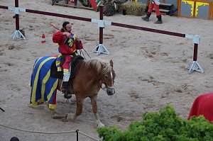 Hochprofessionelle Reitershow mit "Wenzel Ritterspiele"