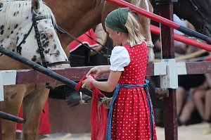 Hochprofessionelle Reitershow mit "Wenzel Ritterspiele"