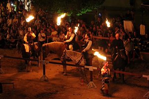 Hochprofessionelle Reitershow mit "Wenzel Ritterspiele"