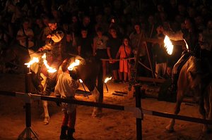 Hochprofessionelle Reitershow mit "Wenzel Ritterspiele"