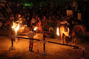 Hochprofessionelle Reitershow mit "Wenzel Ritterspiele"