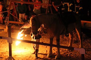 Hochprofessionelle Reitershow mit "Wenzel Ritterspiele"