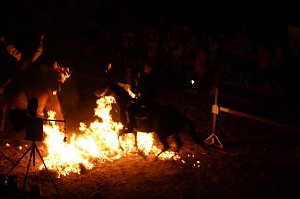 Hochprofessionelle Reitershow mit "Wenzel Ritterspiele"