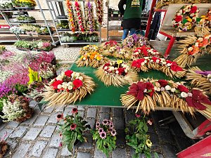 Zweibelmarkt in Artern