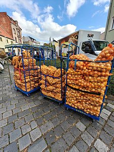 Zweibelmarkt in Artern