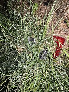 Doppelunfall bei Gundersleben