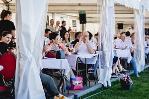 NUV Sommerfest