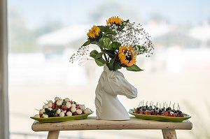 NUV Sommerfest