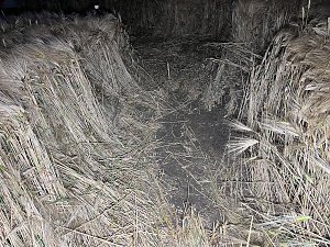 Unfall heute Nacht auf der B4