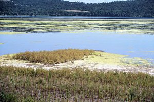 Peter Blei unterwegs am Stausee Kelbra 