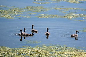 Peter Blei unterwegs am Stausee Kelbra 