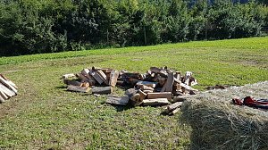 Landesmeister Eintracht Sondershausen