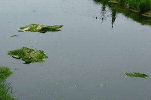 Radwandertag