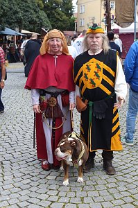 31.Mittelalterstadtfest Bad Langensalza