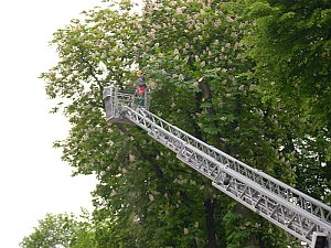 Vorsicht, Vorfahrt ge&auml;ndert!