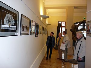 Sehenswerte Ausstellung er&ouml;ffnet