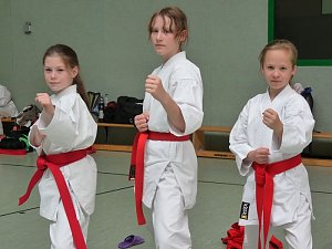 Karate-Meisterschaft