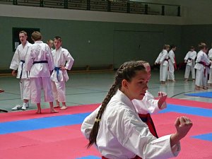 Karate-Meisterschaft