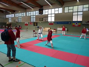 Karate-Meisterschaft