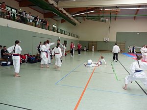 Karate-Meisterschaft