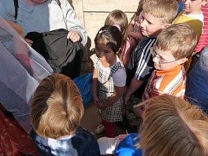 Kindermitteolalterf&uuml;hrung