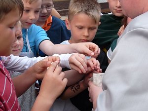 Kindermitteolalterf&uuml;hrung