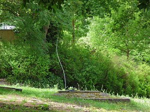 Bel&uuml;ftung Parksee