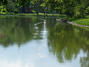 Bel&uuml;ftung Parksee