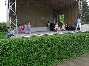 Fest der Vereine