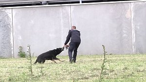 Offene Türen bei der Polizei