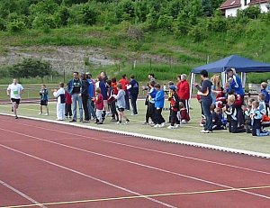 Mini-WM-2010