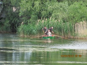 Arbeitseinsatz im Schwimmbad