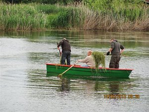 Arbeitseinsatz im Schwimmbad