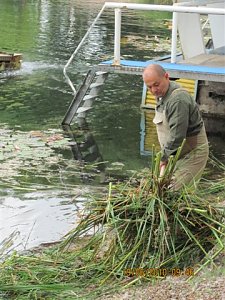 Arbeitseinsatz im Schwimmbad