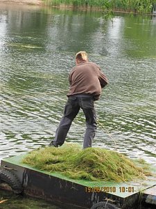Arbeitseinsatz im Schwimmbad