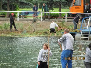Arbeitseinsatz im Schwimmbad