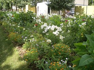 Landesgartenschau