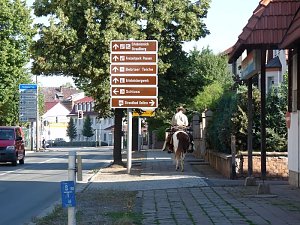 Pferd in der Stadt