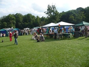 Hunde auf Possen