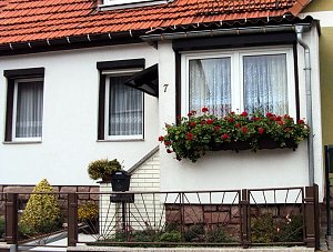 Frankenh&auml;user Bl&uuml;tensommer