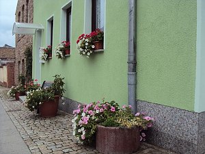 Frankenh&auml;user Bl&uuml;tensommer